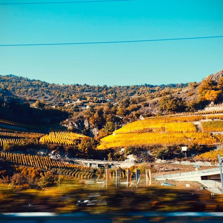 Entertainment zone at night in Netherlands
