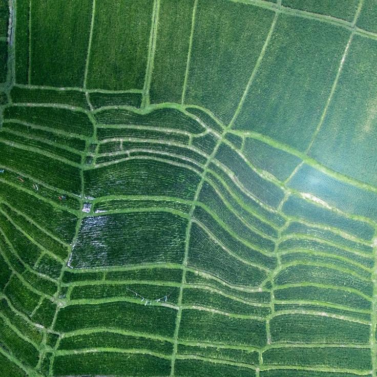 Family terraces and cafés for calm evenings in Amsterdam